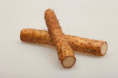 “养鸟”桌游《展翅翱翔》全新拓展“亚洲篇”公布预告 2025年夏季正式推出